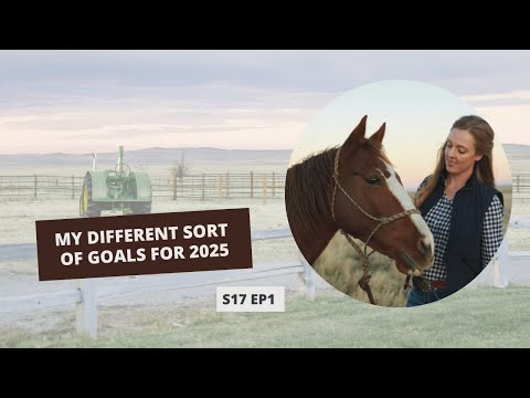 S17: E1: My Different Sort of Goals for 2025