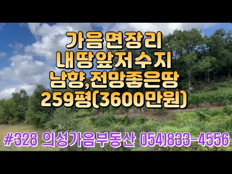 #328 의성가음부동산 저수지위 전망좋는 채소밭 주말농장용 낚시추천 바로앞 호수 남서향 259평 3600만 (당14만원) 위치 풍경 다갖춘 땅 #의성땅#의성토지#귀농귀촌#주말농장