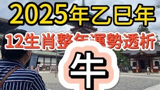 【古柏論命 - 張古柏】2025年乙巳年12生肖整年運勢透析 – 牛