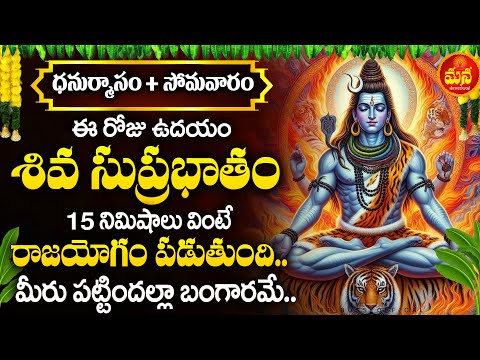 KASHI VISHWANADHA SUPRABHATHAM | LORD SHIVA POWERFUL TELUGU DEVOTIONAL SONGS | SHIVUNI PAATALU