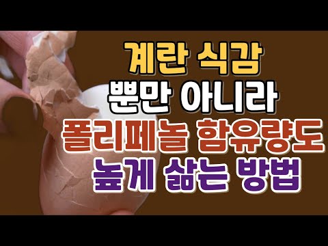 계란 폴리페놀이 풍부한 재료와 삶는 방법, 맛있게 먹는 방법까지 소개합니다. How to Boil an Egg