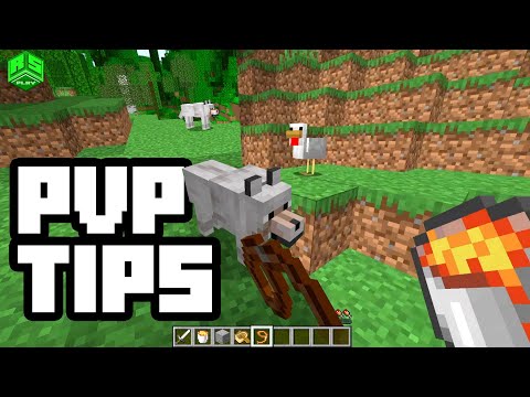 Minecraft Top PvP Tips and MORE!