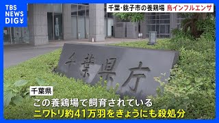 千葉県で今季2例目　千葉・銚子市の養鶏場で高病原性鳥インフルエンザ 陽性確認　約41万羽を殺処分へ｜TBS NEWS DIG