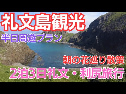 定期観光バスで巡る「コース名 / 礼文A」絶景を楽しむ礼文島ツアー、桃台展望台で朝のお花巡り散策、絶景を楽しむ礼文島ツアー、ハートランドフェリーで礼文島から利尻島へ【２泊3日礼文・利尻旅行】2日目前半