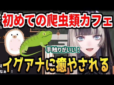 可愛い動物たちに塩対応(?)されるも楽しそうならでんちゃん【ホロライブReGLOSS/儒烏風亭らでん】