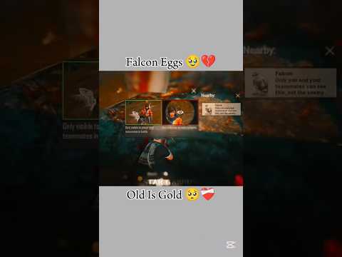 Falcon Eggs 🥺💔 old memories pubg #shortsvideo #shortsfeed