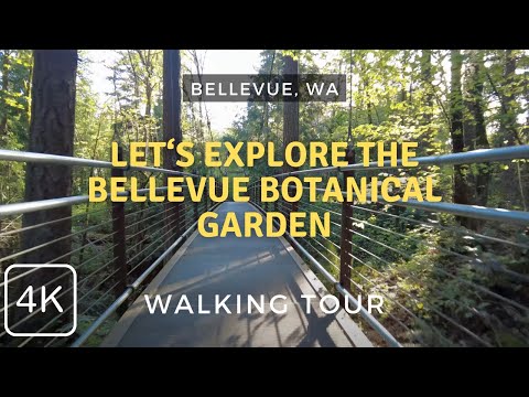 Strolling Through Spring: Bellevue Botanical Garden Walking Tour 2024, Bellevue, WA