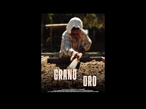 GFX Challenge Grant Program 2023: Alex Velasco "El Grano de Oro" Trailer / FUJIFILM/ FUJIFILM