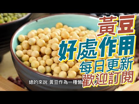 EP137 黃豆 soybeans 的好處與作用 心血管健康 蛋白質豐富 健康  養生 天然 食療