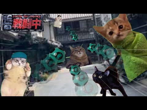 戦闘中をすることになった猫たちの日常Part5【猫ミーム】【猫マニ】