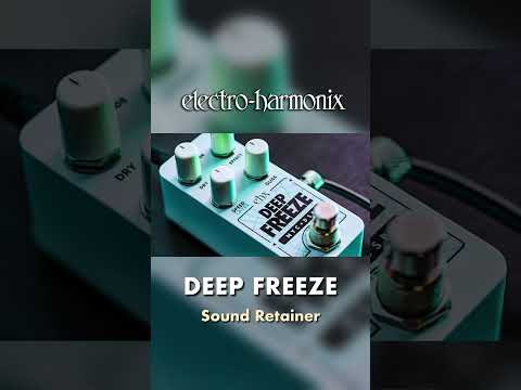 EHX Pico Deep Freeze Sound Retainer Pedal Demo