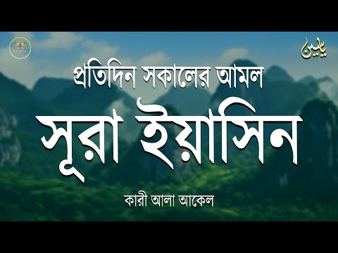 সকালে আমলের জন্য শ্রেষ্ঠ তেলাওয়াত সুরা ইয়াসিন | Surah Yaseen | amol | سوره يس Record by Alaa Aqel