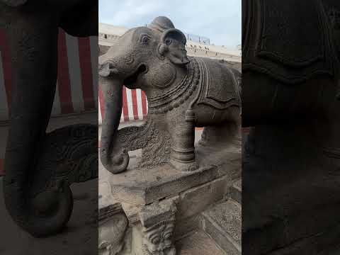 Parthasarathy temple, Chennai #lordkrishna #kurukshetra #chennaitemples