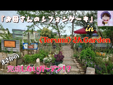 今回は、千葉県の『お母さんのシフォンケーキ』に完成しない「TerumiGarden薔薇とハーブ園」に行ってきました。小鳥のさえずりがしてとても落ち着き癒やされる場所。#スイーツ#ガーデン#DIY