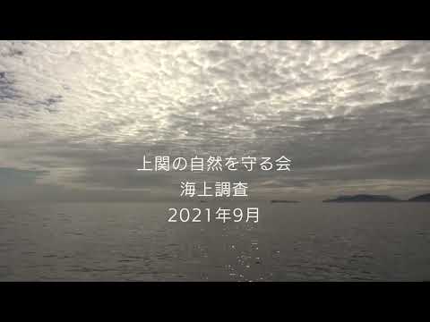 2021-2022上関の自然を守る会〜海上調査報告〜