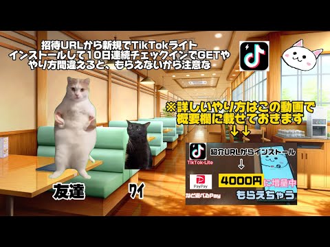 TikTokライト新規インストールしてPayPay4000円以上GETした話🔰【猫ミーム】cat meme 【猫マニ】【猫マニア】