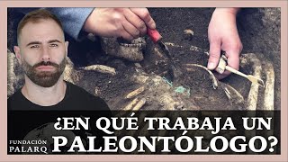 ⛏️ ¿En qué trabaja un Paleontólogo? 🤔