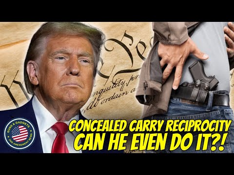 Can He Even Do It: Concealed Carry Reciprocity vs State's Rights