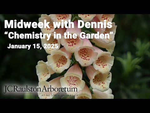 Midweek with Dennis - “Chemistry in the Garden: The Pharmacy in your Plants”