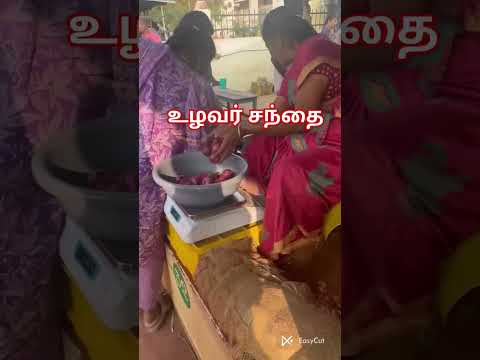 ‼️மார்கழிபனியிலும் மக்கள் கூட்டம்அலை மோதும் உழவர் சந்தை 🌿🥥🍆🥔 #santhai #dailymarket #dimlvlogintamil