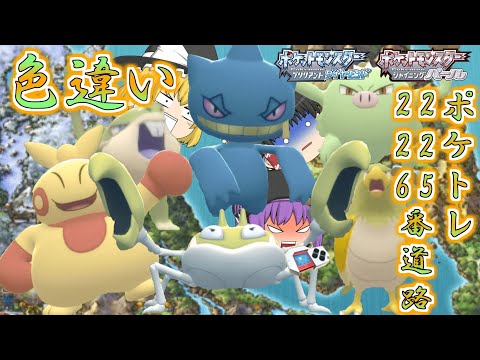 【ポケモンBDSP】マクノシタとクラブが大量発生したから色違い欲しい…じゃあついでに225番道路と226番水道の色違いポケトレで全部ゲットしちゃお♡【ゆっくり実況】