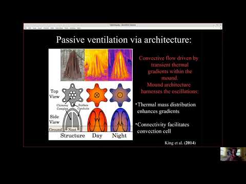 "What can 2 bugs tell us about off-grid atmospheric water generation?" - Hunter King