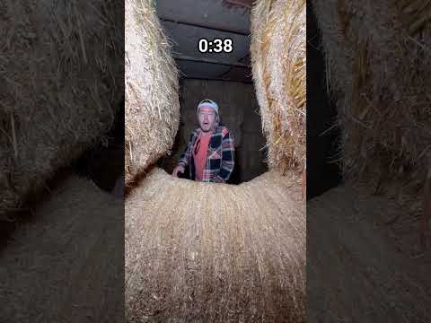 I Can't BELIEVE I Attempted The HAYMAZE In Under A MINUTE! #shorts