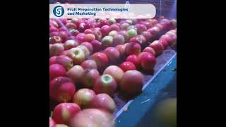 Fruit Preparation Technologies and Marketing #fruitproduction #juiceproduction #freshjuice