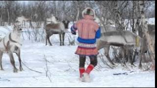 Reindeer herder