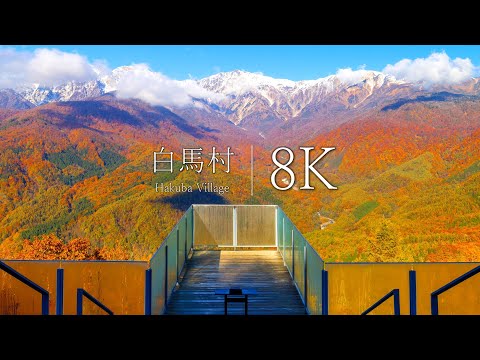 [Miraculous three-tiered autumn leaves] 15 spectacular autumn views in Hakuba Village - JAPAN in8K