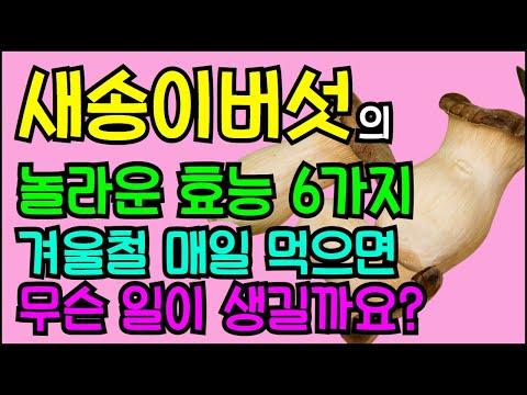 새송이버섯의 놀라운 효능 6가지 겨울철 매일 먹으면 무슨 일이 생길까요?