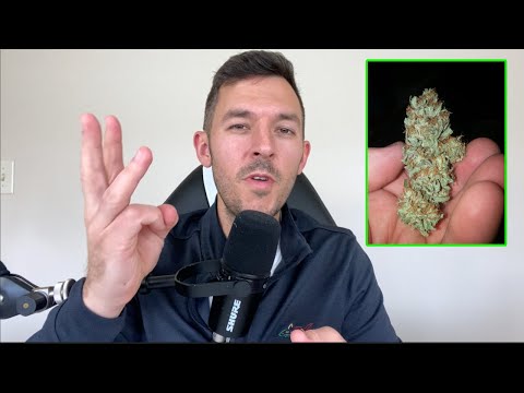 3 Causes Of Weed Addiction (survival, fun, coping)