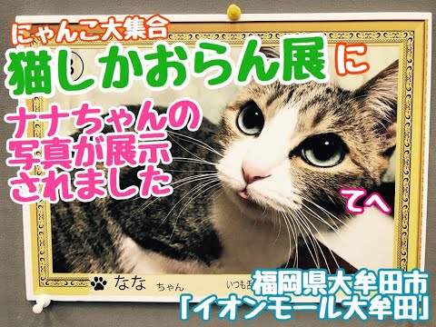 猫しかおらん展に　ナナの写真が飾られたんで　見に行くついでに　久々　大牟田市動物園　嫁さんとふたりで　行ってきました