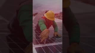 World’s Largest Solar Facility : Inside Dholera  #facts #trending #viralvideo