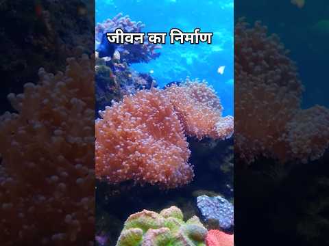 पृथ्वी पर जीवन का निर्माण कैसे हुआ ? मैं पृथ्वी बोल रही हूँ | Earth formation,water ,life #space