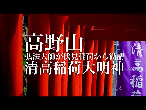 ４K HDR 高野山　空海が伏見稲荷から勧請した神社 清高神社