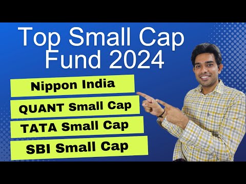 Best Small Cap Fund 2024 | Nippon | Quant | TATA | SBI Small cap Comparisons (hindi)