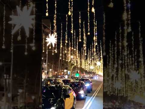 Barcelona Christmas Lights #youtubeshorts #remix #shorts #short #christmas #navidad #barcelona