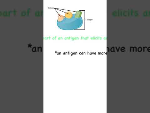 What is an epitope? #antigens  #antibody  #anatomyandphysiology