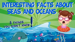 Interesting Facts About Seas and Oceans | Educational Video for Kids