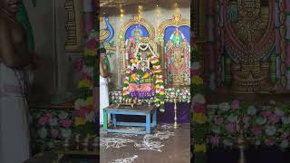 Navaratri kolu bommai 🙏#navarathirispecial #kolubommai #shorts #trending #viral #navarathirigolu