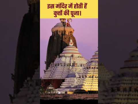 जगन्नाथ मंदिर मे पूजा जाता हैं कुत्तों को | #jagannath #jagannathtemple #jagannathpuri #kalyug