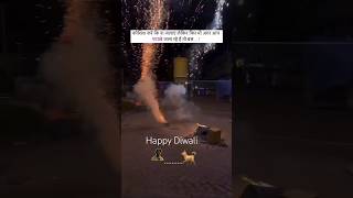 Happy Diwali|| Safe the animals #shorts #youtube #trending #animallovers