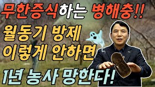 과수 월동 병해충방제 방법을 알려드립니다. (해충방제법)