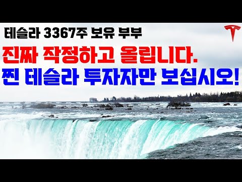 2년 동안의 테슬라 주가를 돌아보고 발견한 걸 말씀 드립니다!