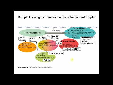 Phototrophs ABT