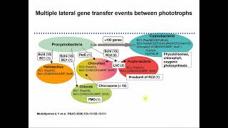 Phototrophs ABT