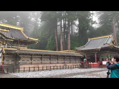 【日光東照宮】昔の人の素晴らしい芸術に圧倒❤️