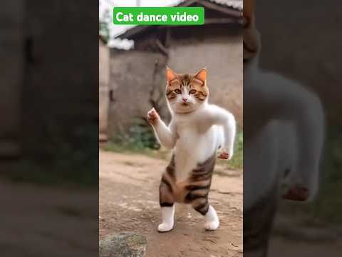 🐈 😻 cat dance video viral #kartoonstory #facts #katoon #shorts #shortvideo #shortsfeed