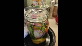 Preserve you harvest try Fermenting zone 7b #gardening #zone7a #garden